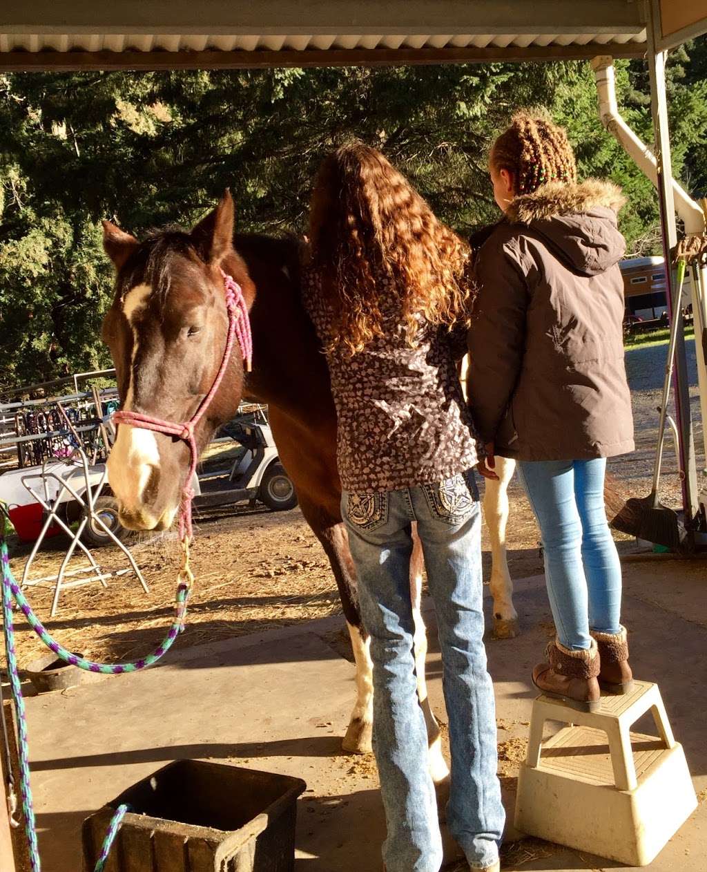 Fox Equine Rescue & Youth Horsemanship Center | 24705 Miller Hill Rd, Los Gatos, CA 95033 | Phone: (408) 718-7006