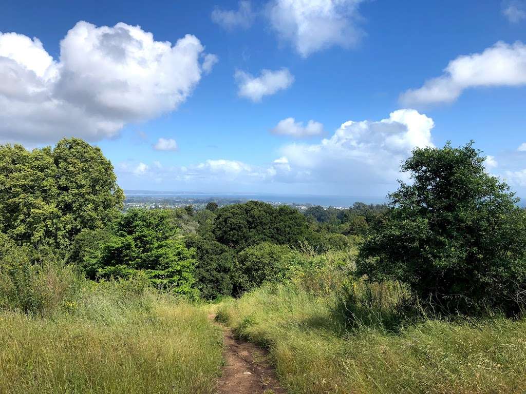 Lookout Trail Trailhead | Santa Cruz, CA 95060, USA