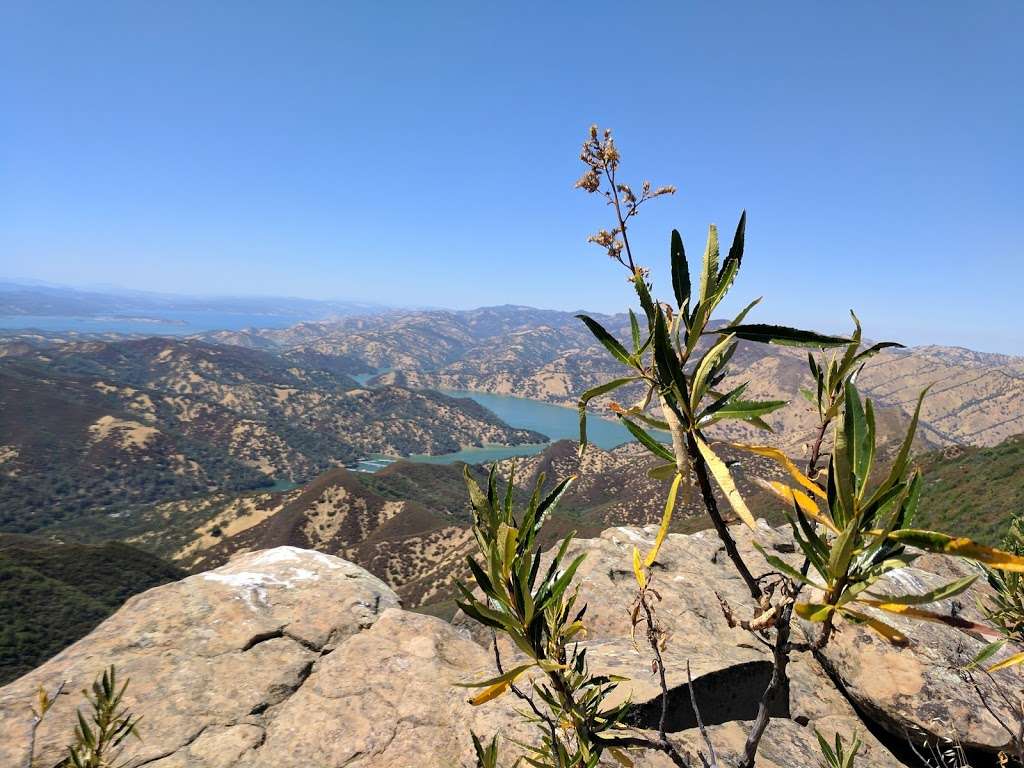 Homestead Trailhead | 22095 CA-128, Winters, CA 95694, USA