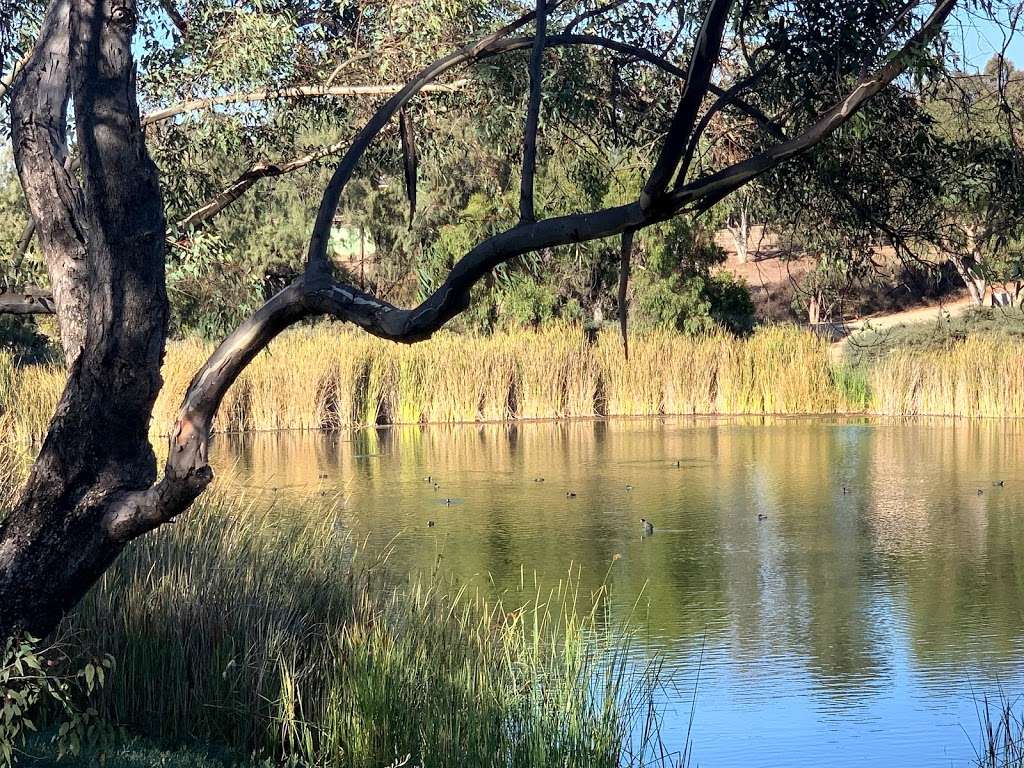 Poway Pond | Sunwood Trail, Poway, CA 92064, USA