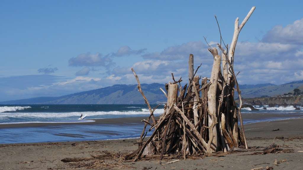 North Salmon Creek Beach | 3095 CA-1, Bodega Bay, CA 94923, USA | Phone: (707) 875-3483