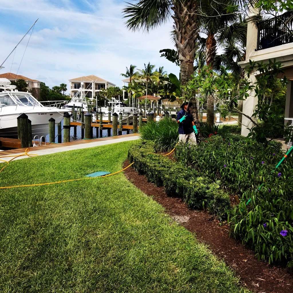 Oasis Pest Control Llc West Palm Beach Fl 33415 Usa