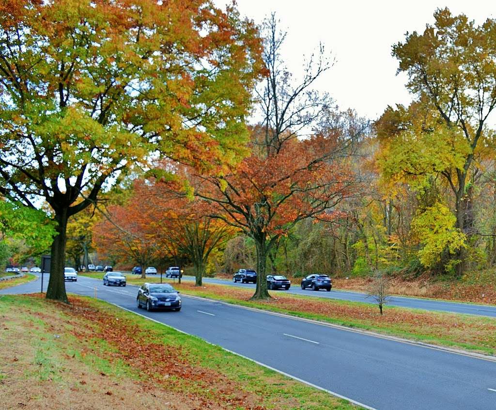 George Washington Memorial Parkway First Overlook | George Washington Memorial Pkwy, Arlington, VA 22207, USA | Phone: (703) 289-2500