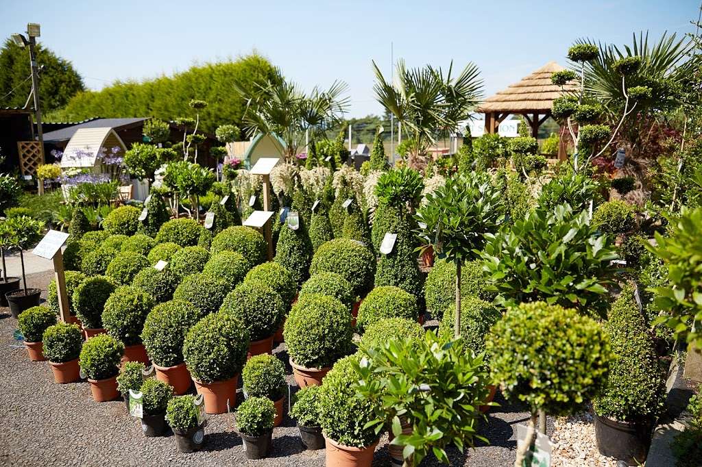 Flower Pot Nursery | Frant Rd, Tunbridge Wells TN3 9HB, UK | Phone: 01892 510190