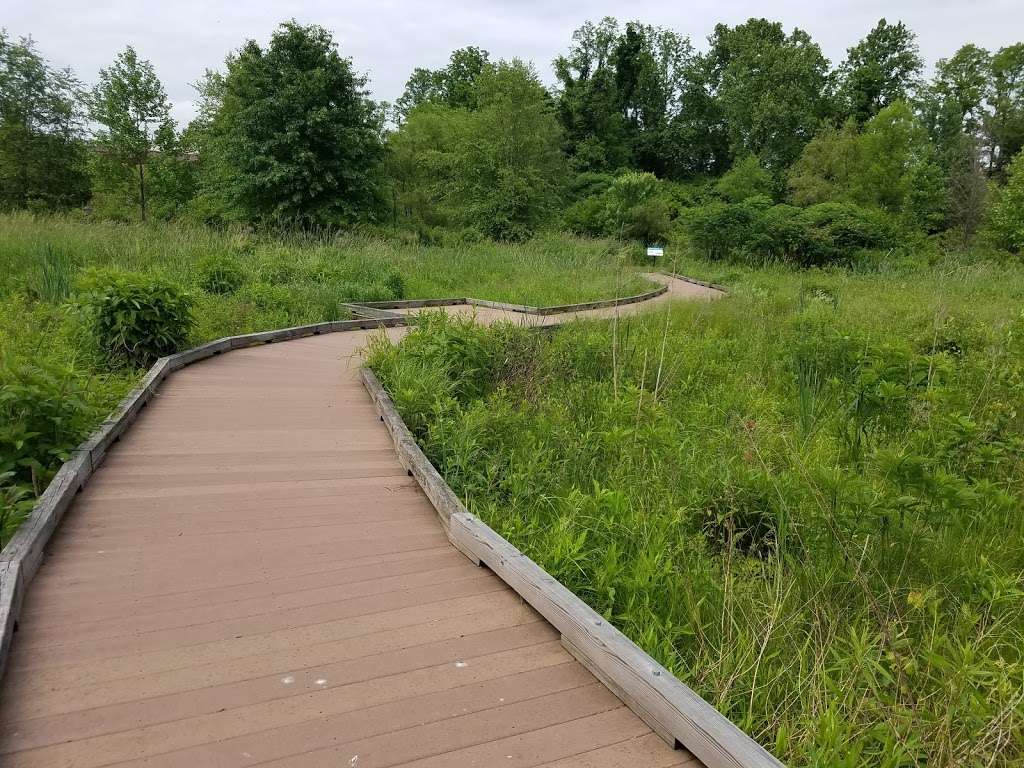 Angelica Creek Park | 700 Arlington St, Reading, PA 19611, USA | Phone: (610) 372-4992
