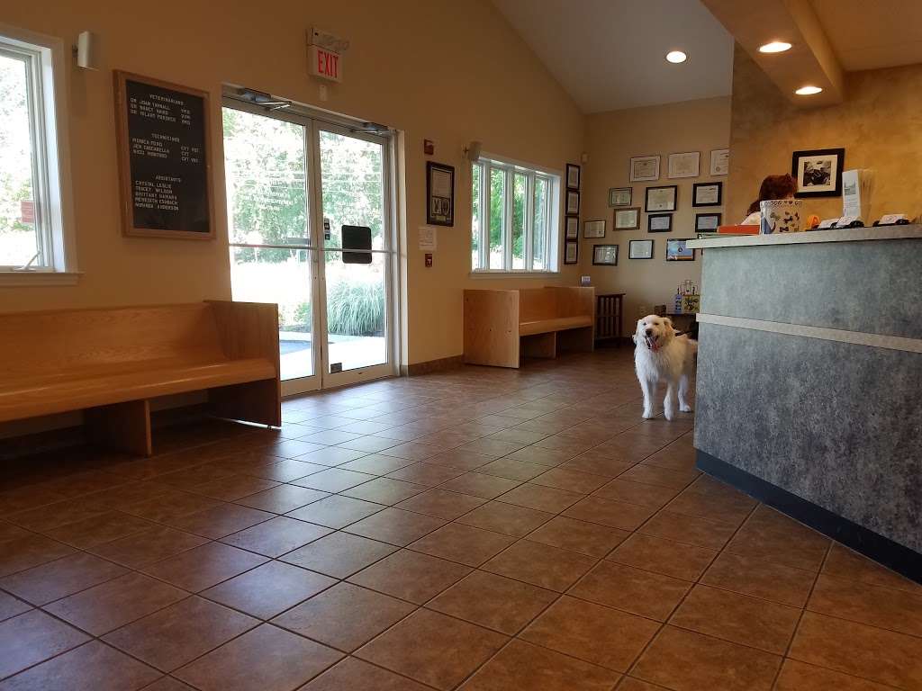 Animal Clinic at Thorndale, PC | 431 Bondsville Rd, Downingtown, PA 19335, USA | Phone: (610) 873-4091