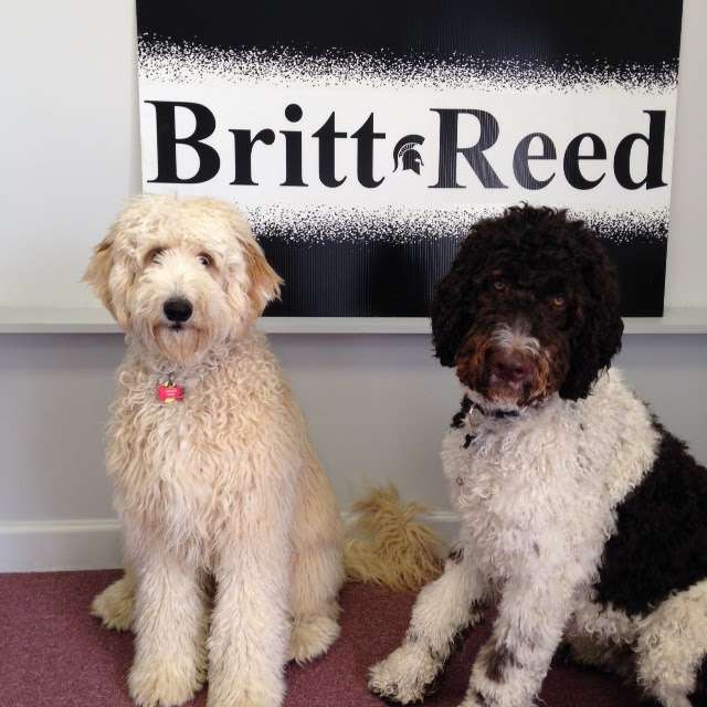 Britt-Reed Law Offices | 1936 Dual Hwy, Hagerstown, MD 21740 | Phone: (301) 791-6000