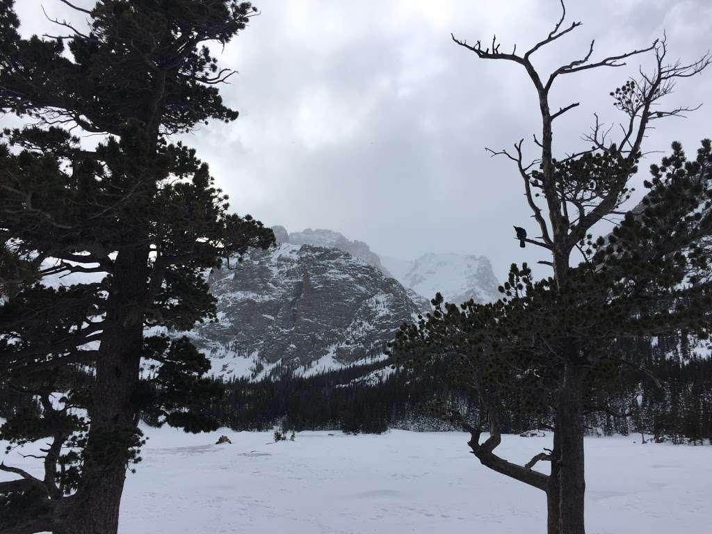 Andrews Creek | Estes Park, CO 80517