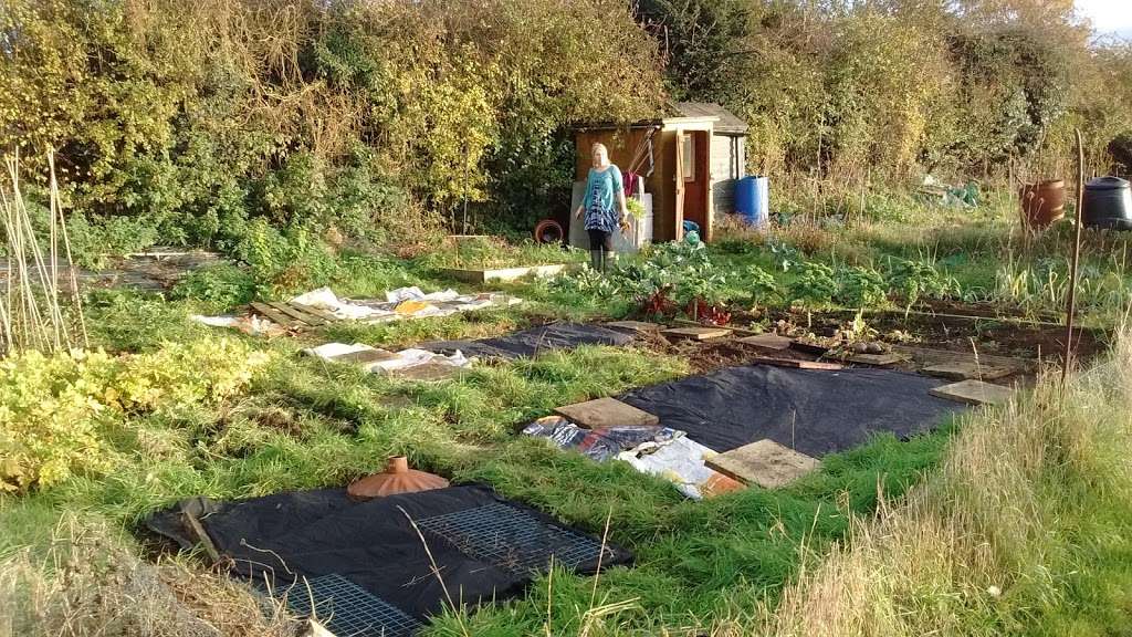 Hertingfordbury Allotments | Hertingfordbury Rd, Hertford SG14 2LG, UK