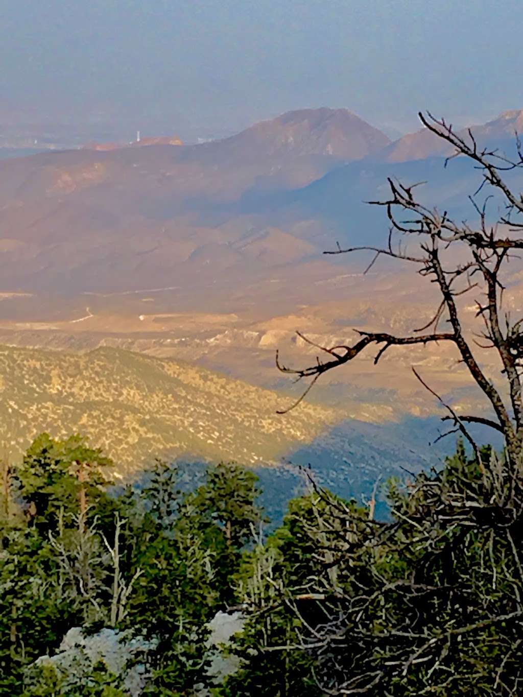 Bristlecone Peak | North Loop, Mt Charleston, NV 89124