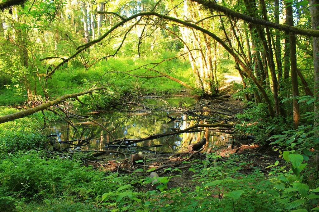 Hyland Woods Natural Area | Hyland Forest Park Trail, Beaverton, OR 97008 | Phone: (503) 645-6433