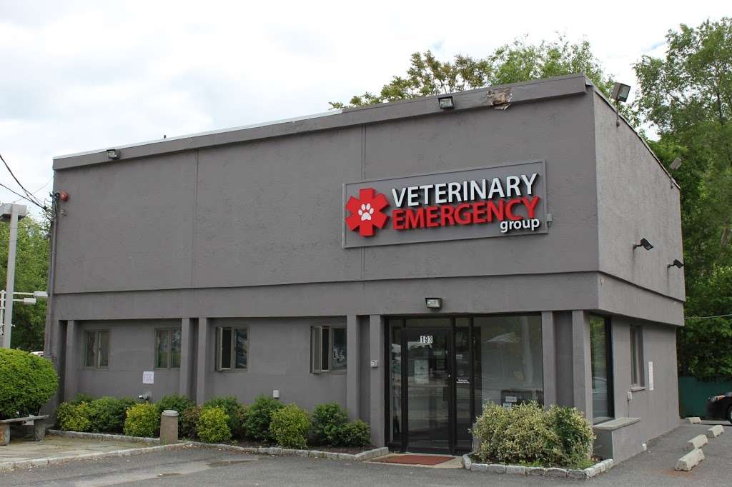 Veterinary Emergency Group | 193 Tarrytown Rd, White Plains, NY 10607 | Phone: (914) 949-8779