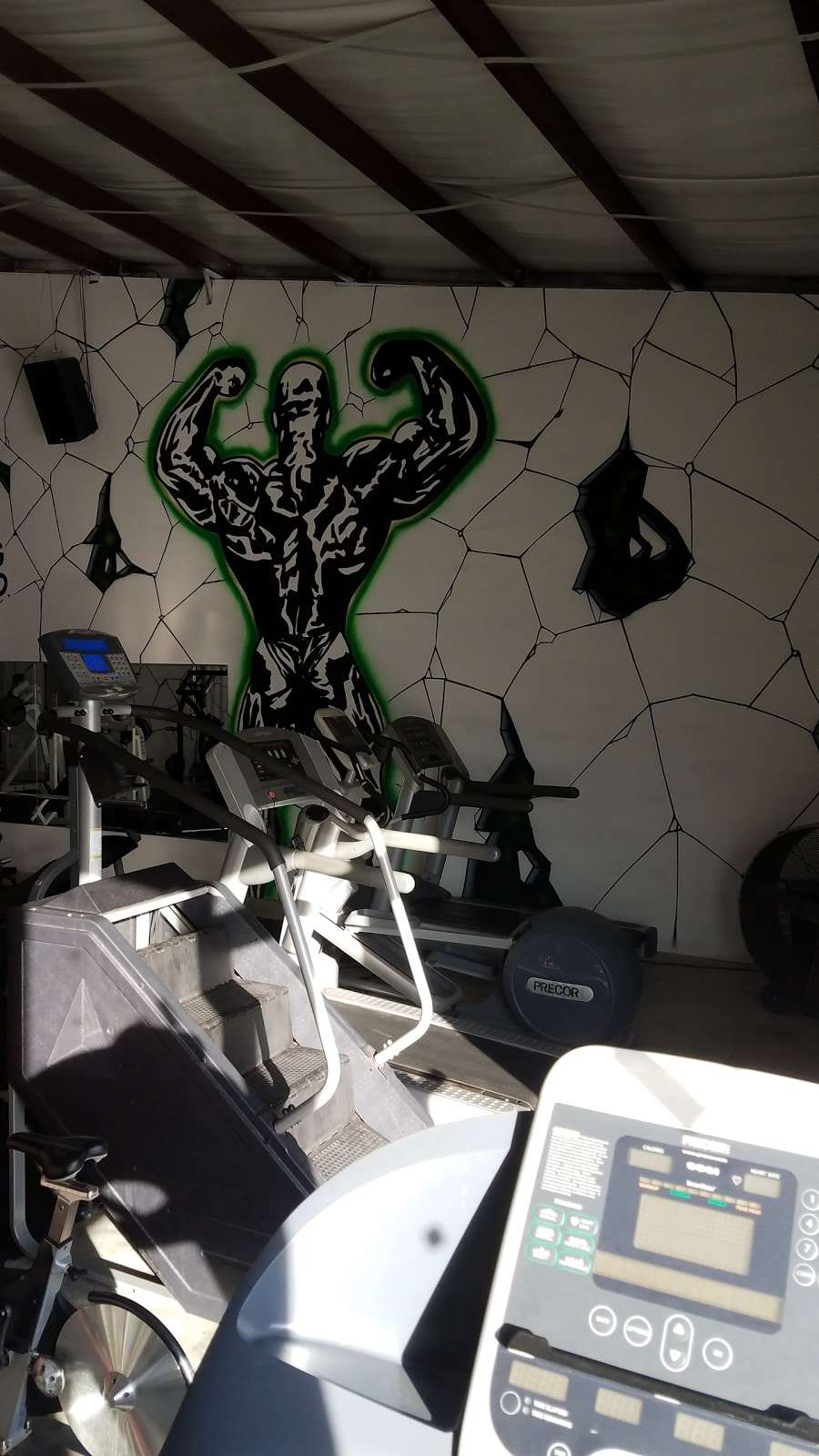 Species Gym | 3115 N Fry Rd #305, Katy, TX 77449, USA | Phone: (832) 427-5770