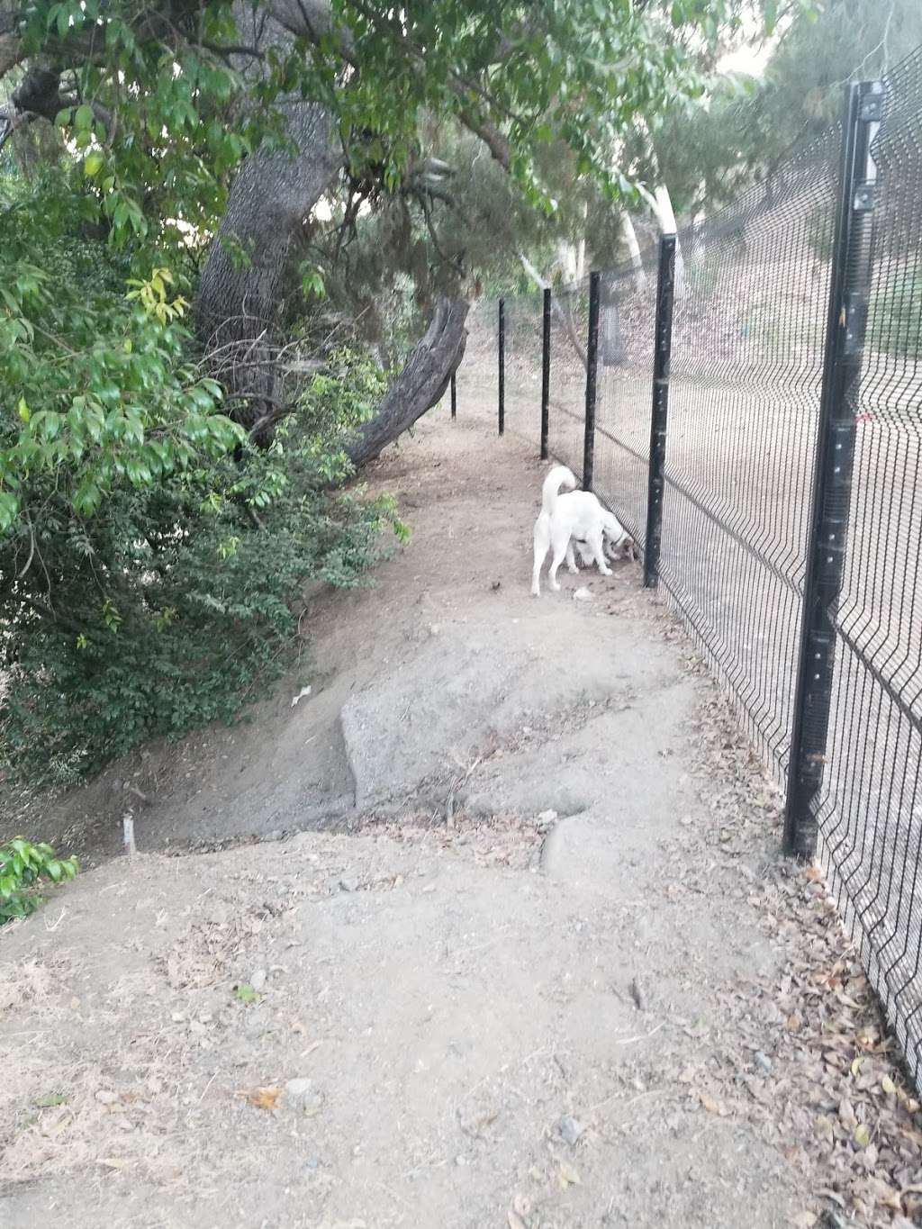 Eagle Rock Dog Park | Eagle Rock, CA 90041, USA