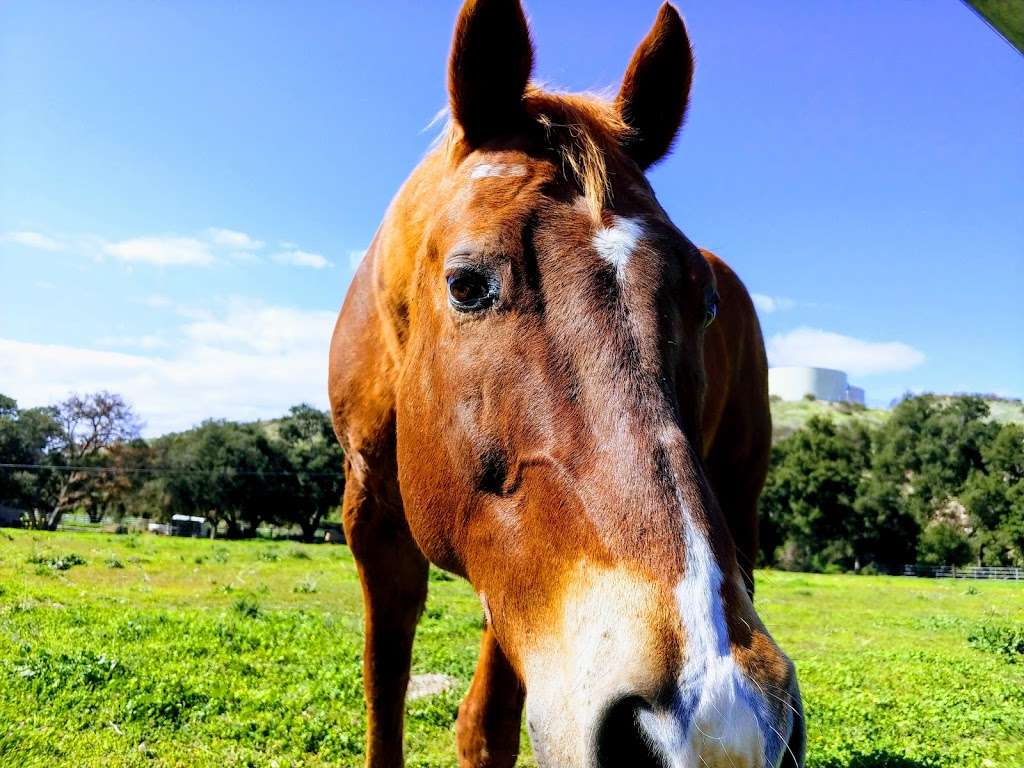 Quigley Canyon Open Space | Fino Mtwy, Santa Clarita, CA 91350, USA