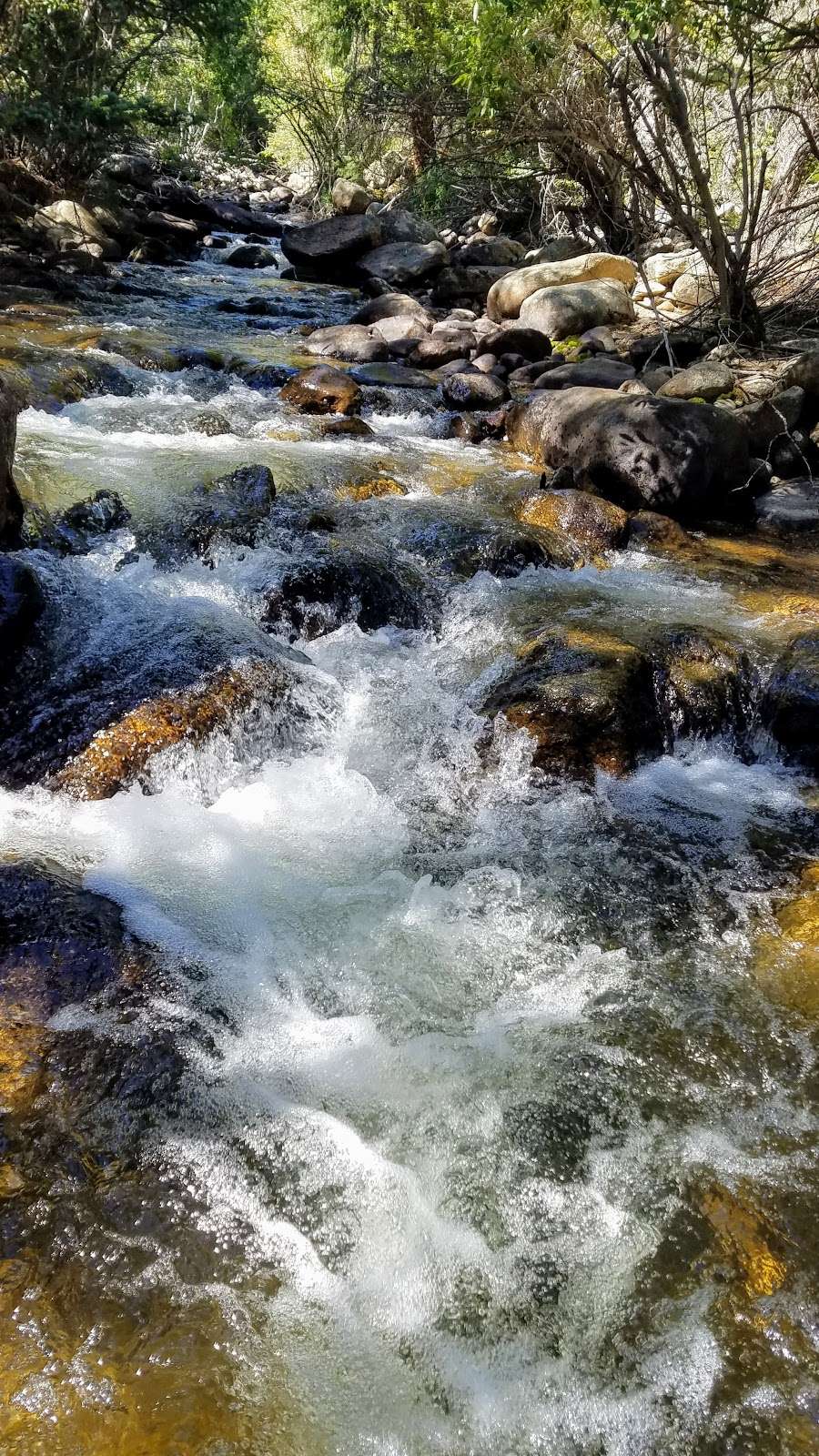 Caribou Ranch Open Space | caribou Rd, Nederland, CO 80466, USA | Phone: (303) 678-6200