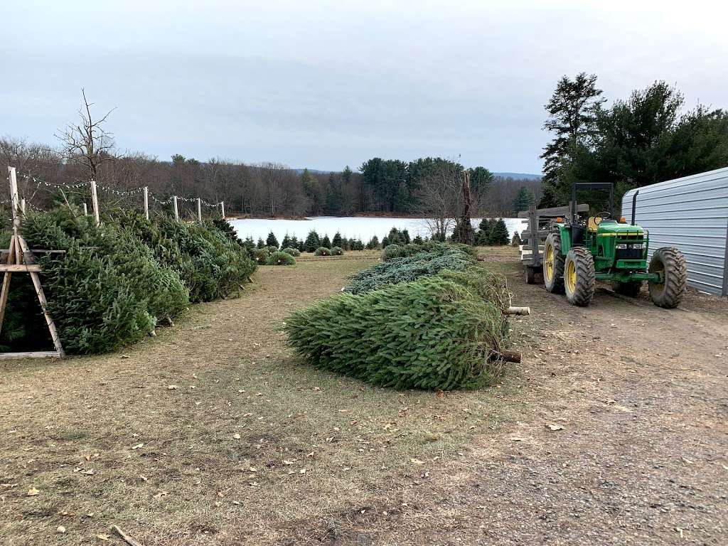 Helen & Eds Tree Farm | 3758 St Marys Rd, Wapwallopen, PA 18660, USA | Phone: (570) 868-6252