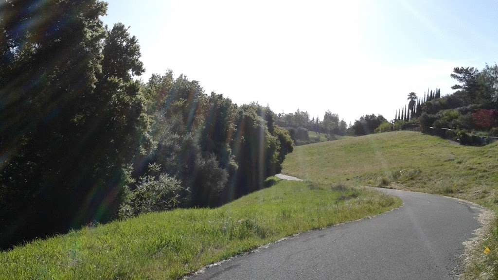 Sabercat Creek Trail | Fremont, CA 94539