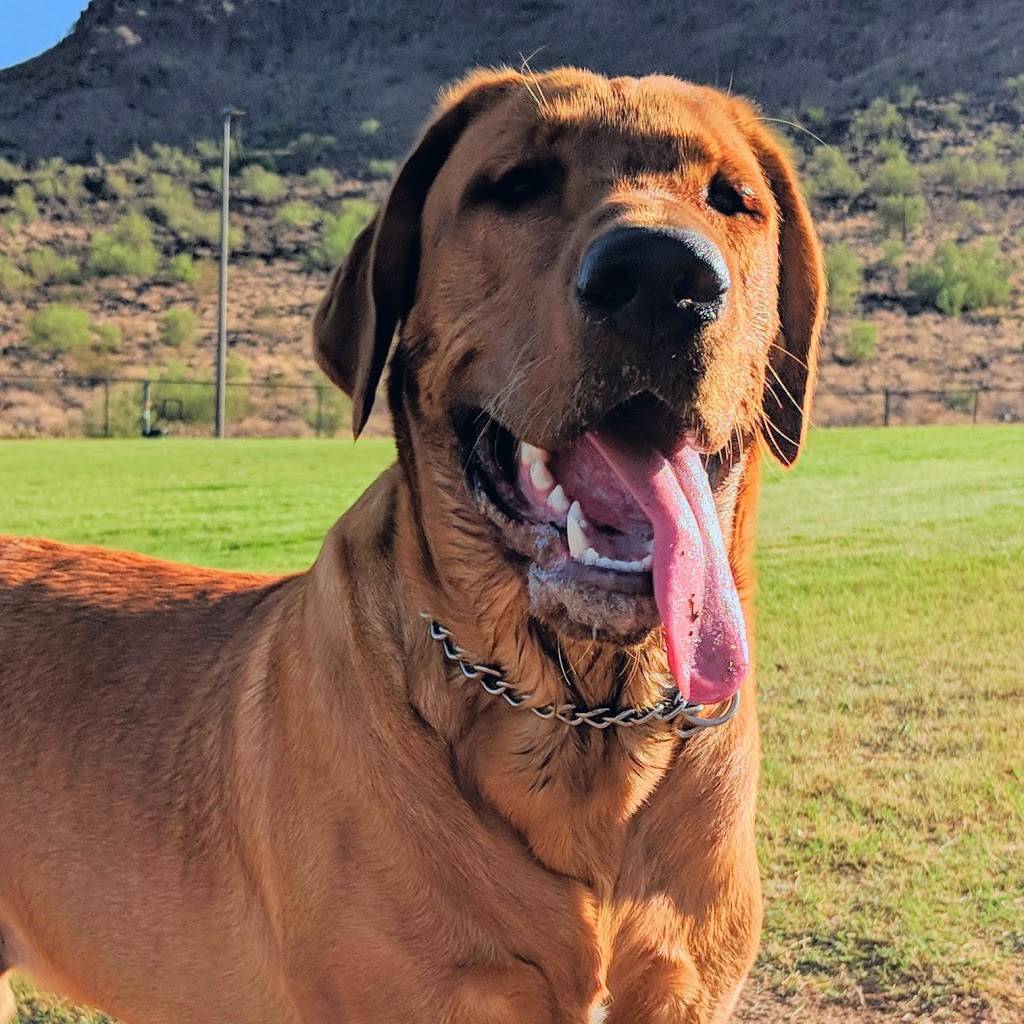 Deem Hills Dog Park | 26606 N Deem Hills Pkwy, Phoenix, AZ 85083, USA | Phone: (602) 495-5458