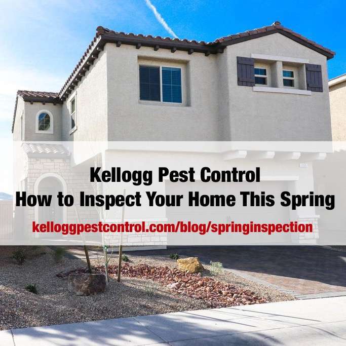 Kellogg Pest Control | 8305 Monarch Birch Ave, Las Vegas, NV 89117, USA | Phone: (702) 378-0760