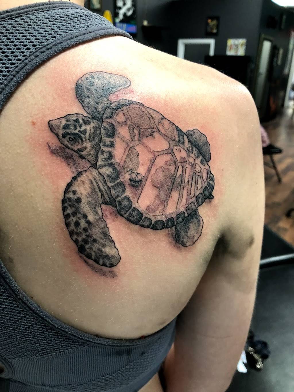 Haven Tattoo Gallery | 6520 Glenway Ave, Cincinnati, OH 45211, USA | Phone: (513) 574-8287