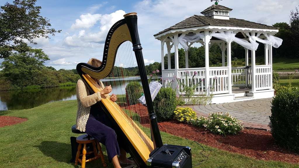 Cecilia Parker (Harpist/Harp Teacher) | 11 S Shore Trail, Sparta Township, NJ 07871, USA | Phone: (973) 726-8831