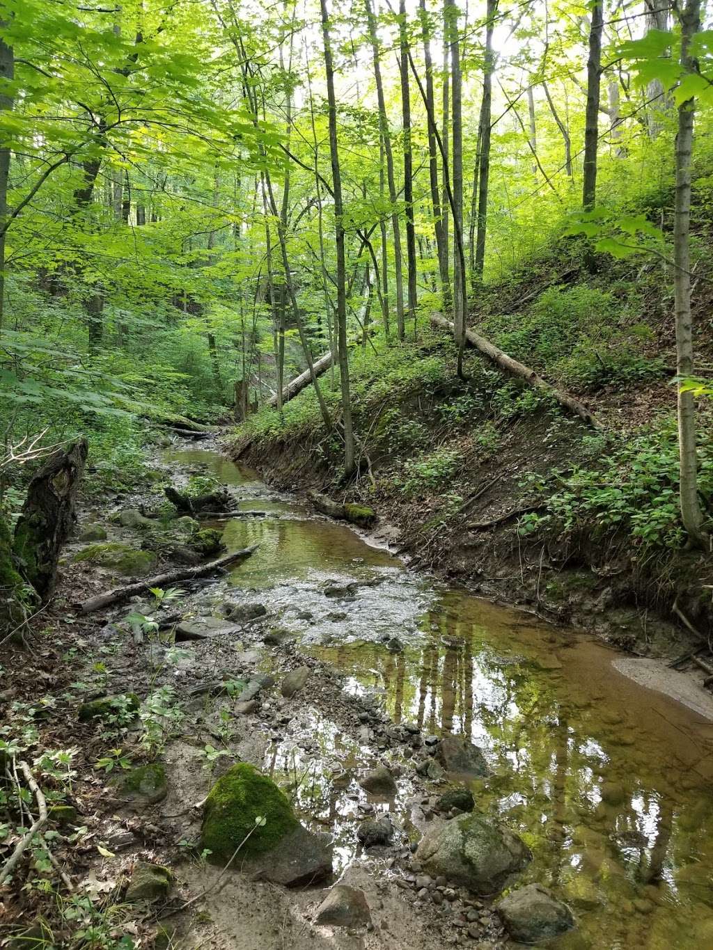 Bender Park Hiking Trail | Unnamed Road, Oak Creek, WI 53154, USA