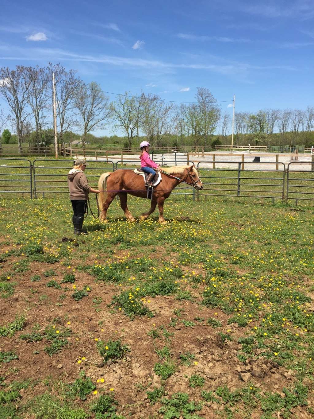 Horse Haven Farm, LLC | 105 Swimley Rd, Berryville, VA 22611, USA | Phone: (540) 550-9220