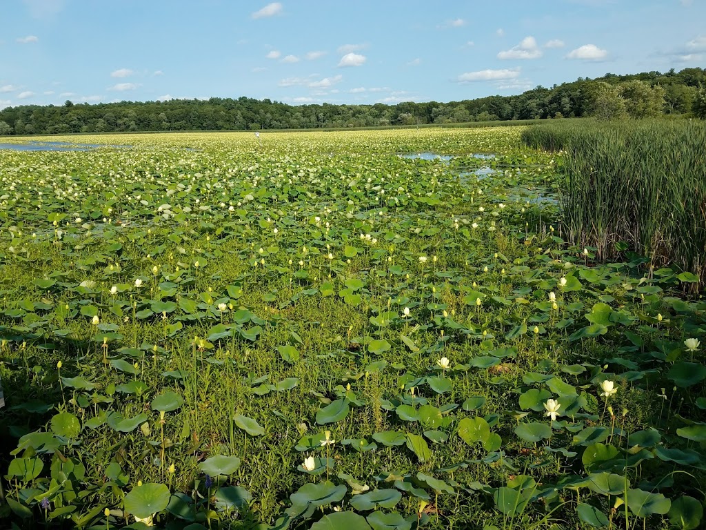 Great Meadows National Wildlife Refuge | 73 Weir Hill Rd, Sudbury, MA 01776, USA | Phone: (978) 443-4661