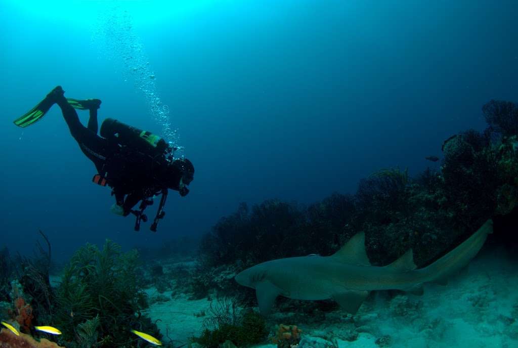 Underwater Explorers | 728 Casa Loma Blvd, Boynton Beach, FL 33435, USA | Phone: (561) 577-3326