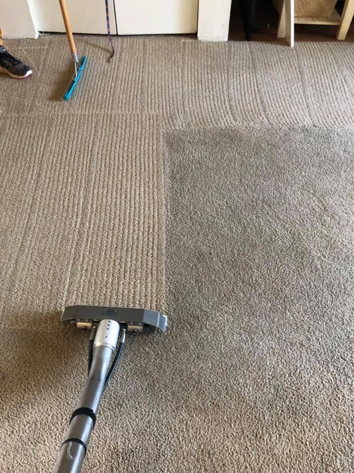 ASAP Carpet Cleaning | 4464 Falcon Crest Way, Turlock, CA 95382, United States | Phone: (209) 668-2727