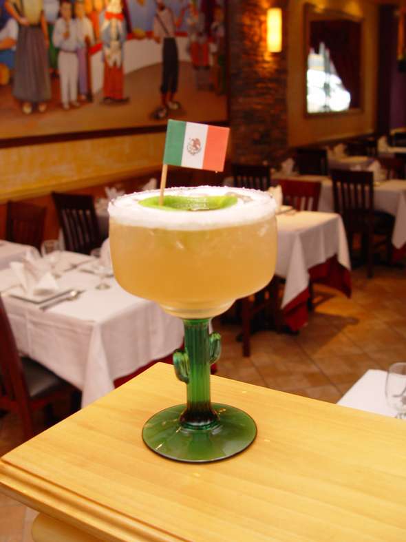 El Coyote | 838 Main St F, Monroe, CT 06468 | Phone: (203) 459-4055