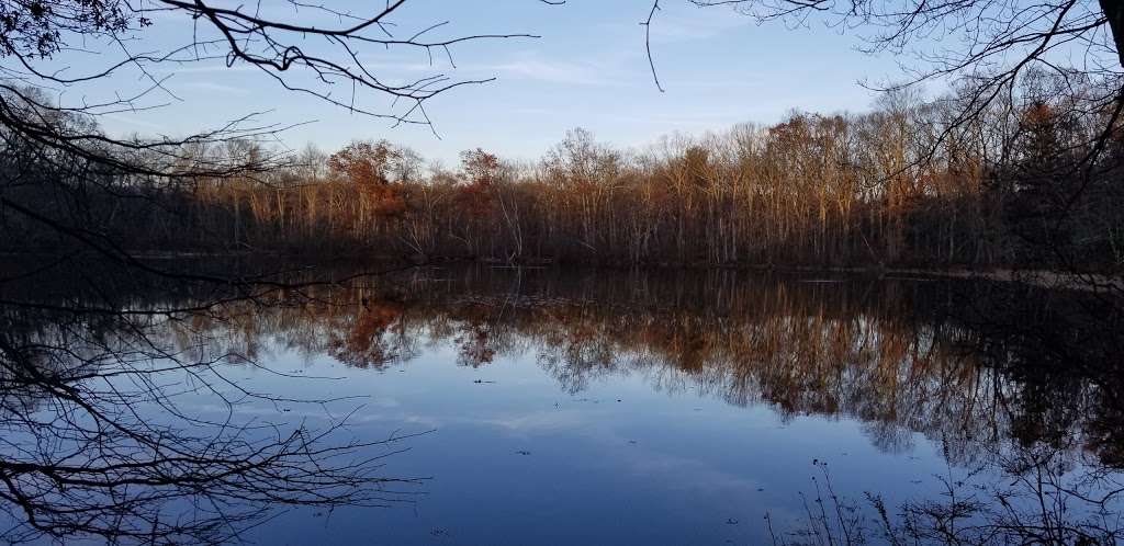 Mass Audubons Oak Knoll Wildlife Sanctuary | 1417 Park St, Attleboro, MA 02703, USA | Phone: (508) 223-3060