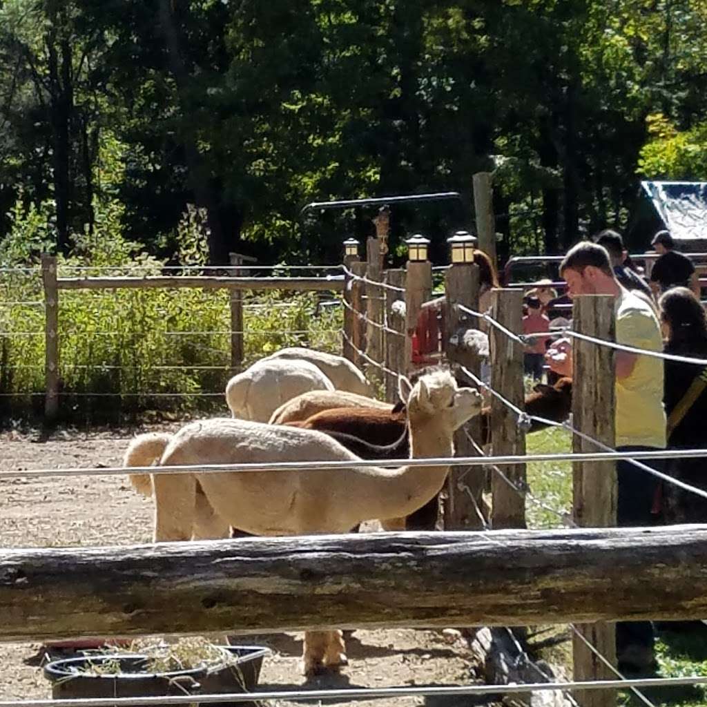 Little Brushwood Alpaca Farm & Country Store | 51 Parsons Rd, Newton, NJ 07860, USA | Phone: (973) 579-0021