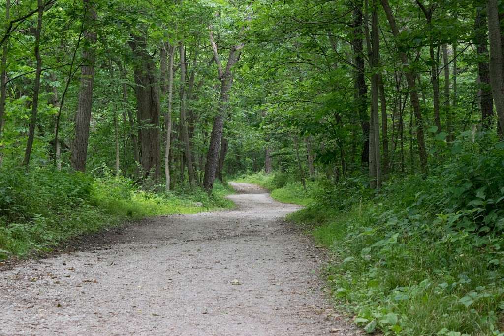 McClaughry Springs Woods (Cook County Forest Preserve) | Palos Park, IL 60464, USA