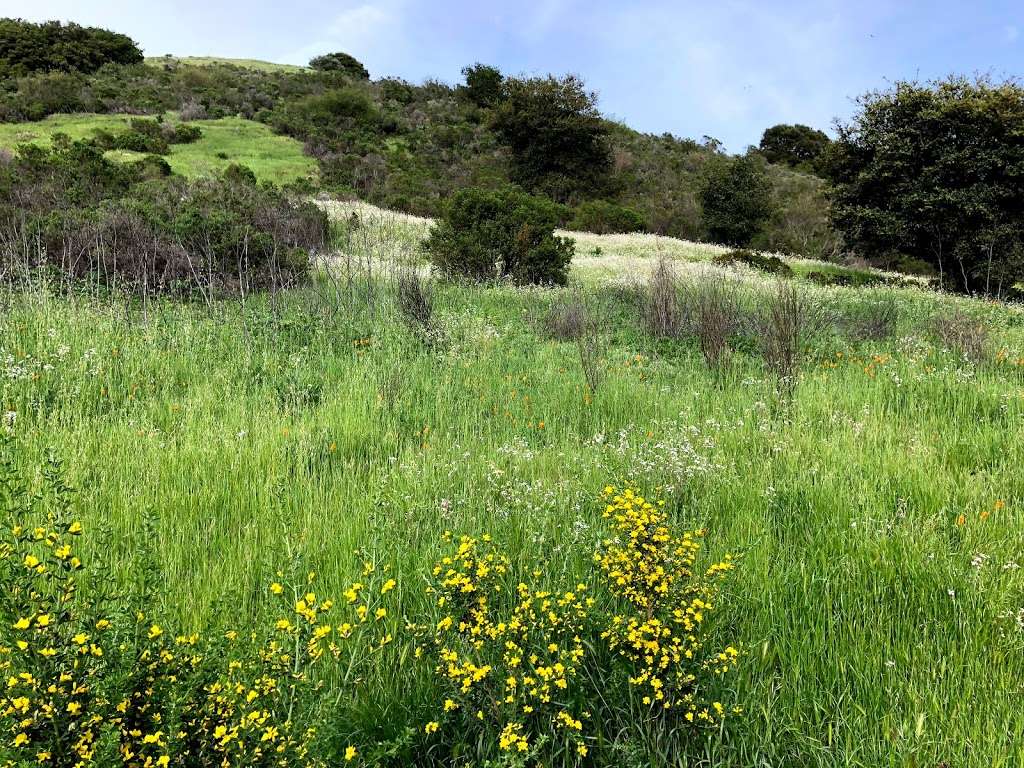 Leona Canyon Regional Open Space Preserve | Leona Trail, Oakland, CA 94605, USA | Phone: (888) 327-2757