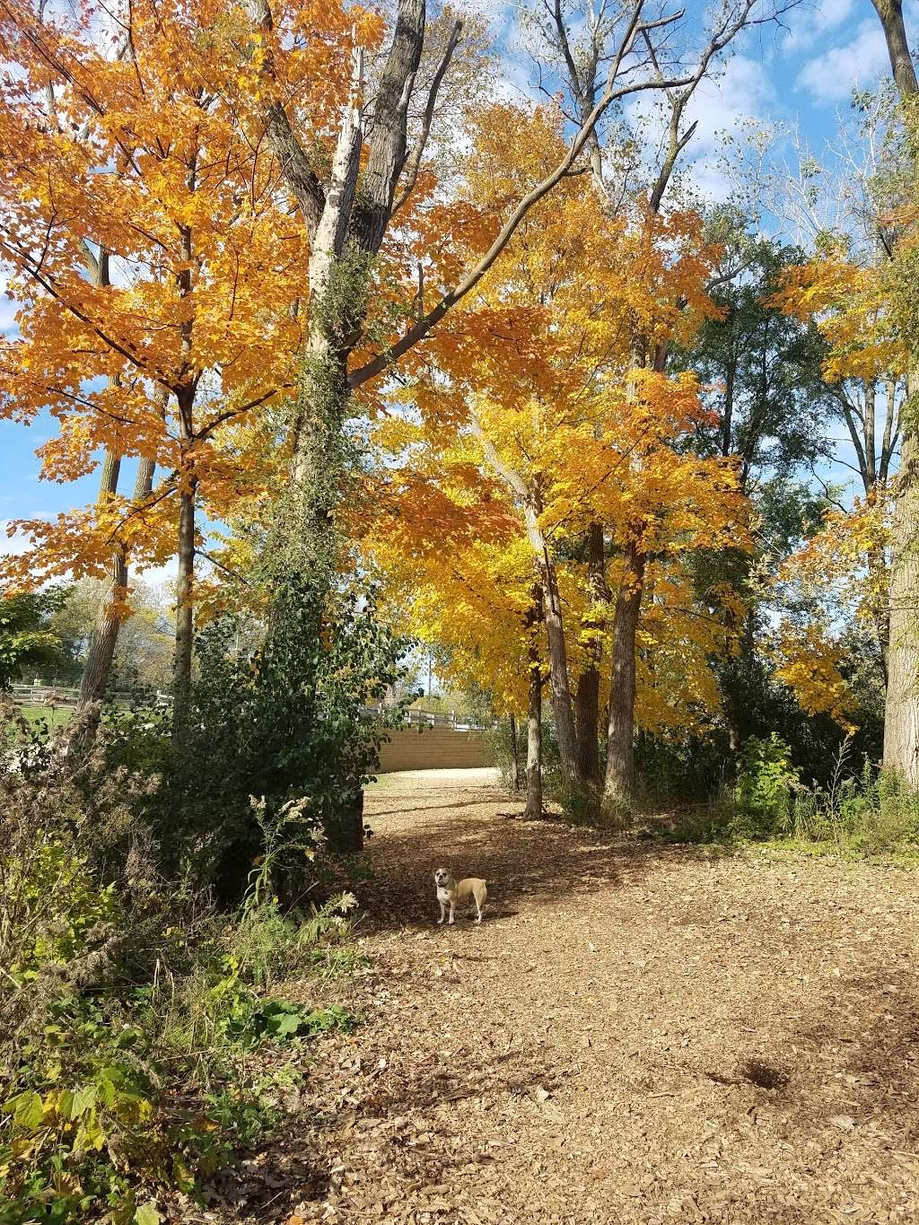 Independence Grove Dog Park | 31531 N Milwaukee Ave, Libertyville, IL 60048, USA | Phone: (847) 367-6640