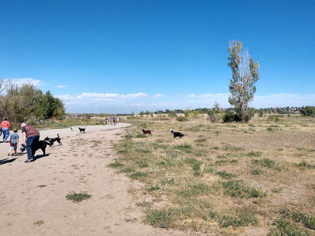 Cherry Creek ​Dog Of​f Leash Area (DOLA) | S Entrance Rd, Aurora, CO 80015, USA | Phone: (303) 690-1166