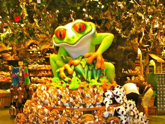 Rainforest Cafe Shop-Animal Kingdom | Walt Disney World Resort, Kissimmee, FL 34747, USA | Phone: (407) 938-9100