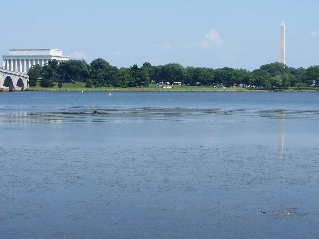 Potomac Park | Memorial Ave, Washington, DC 20566, USA