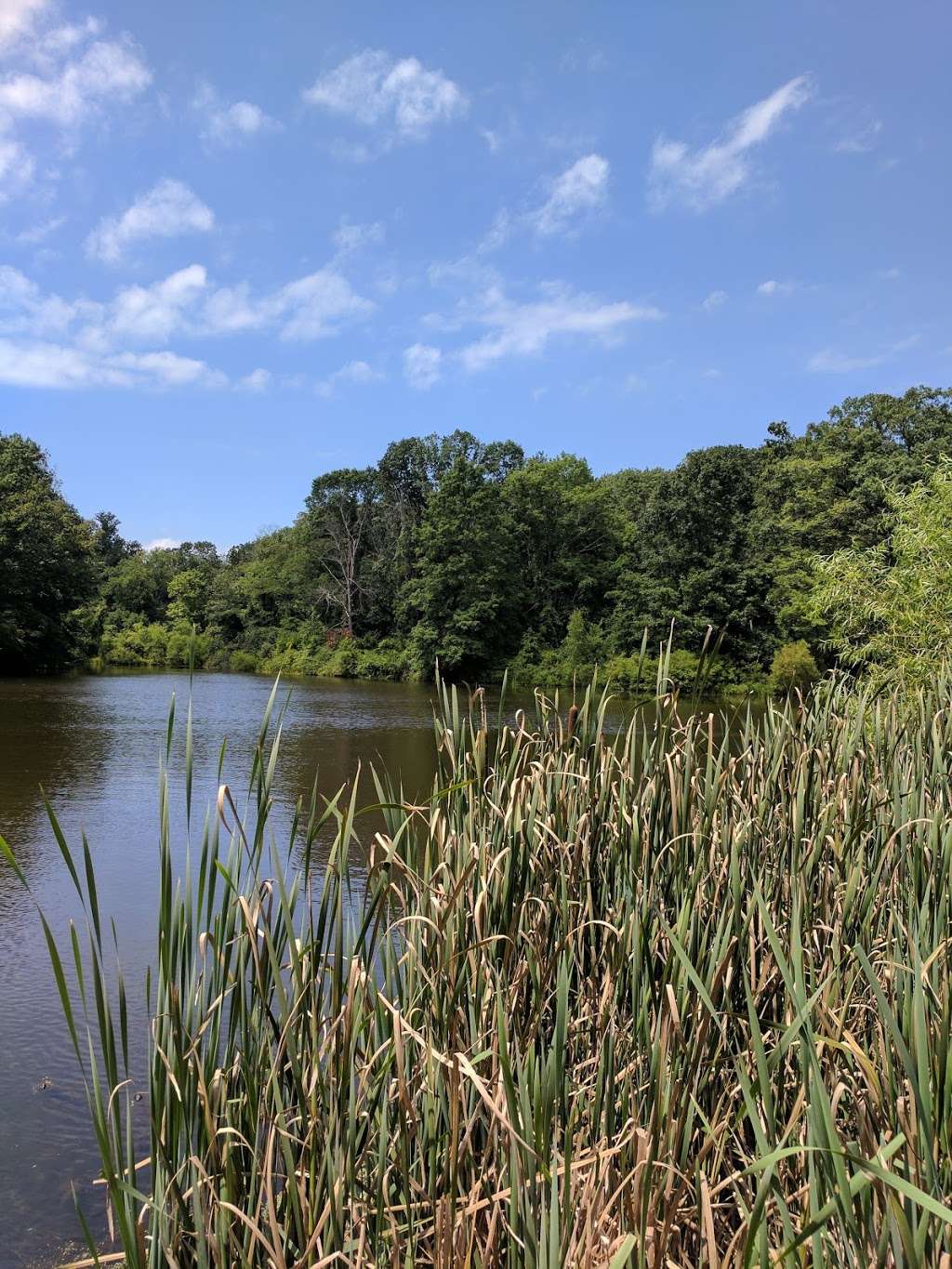 Billie Johnson Mountain Lakes Nature Preserve | 30 Mountain Ave, Princeton, NJ 08540
