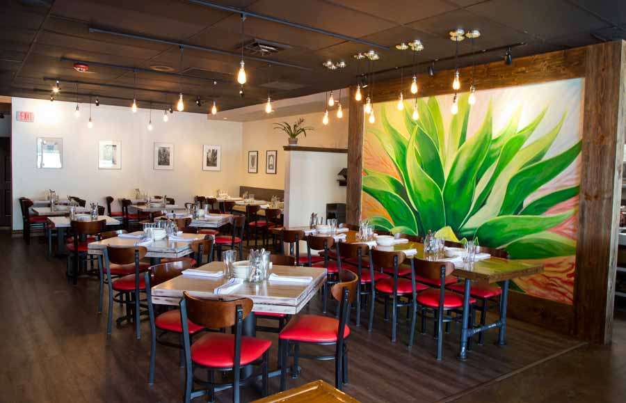 Mesa Urbana Mexican Fusion | 3566 Milwaukee Ave, Northbrook, IL 60062, USA | Phone: (847) 383-0700