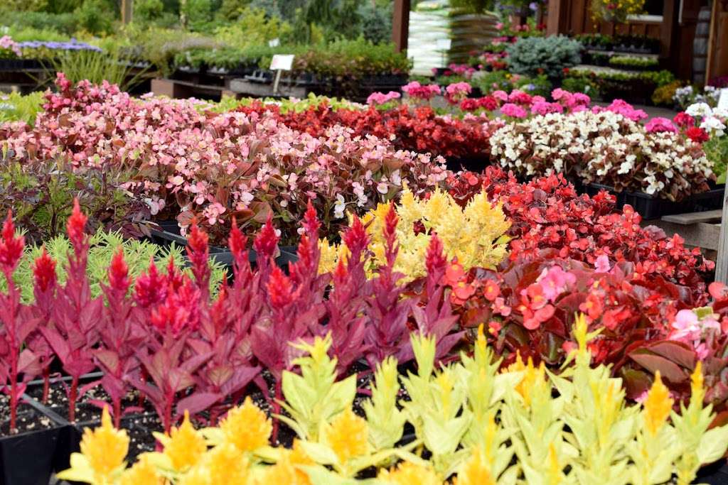 Hartland Flower & Garden Supply | 104 Millhurst Rd, Manalapan Township, NJ 07726, USA | Phone: (732) 620-5208