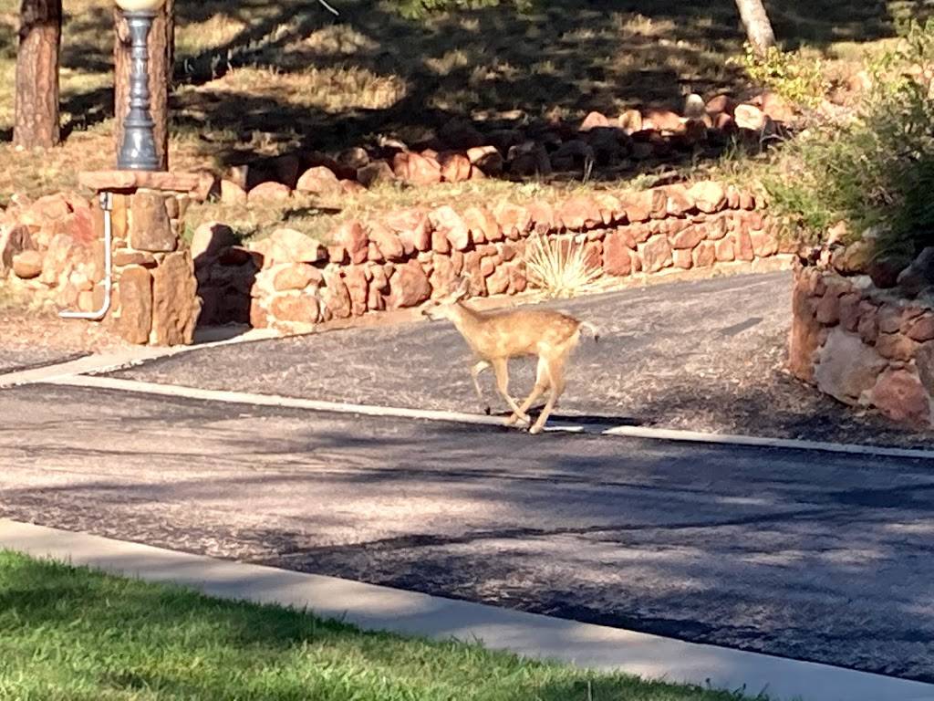 Franciscan Retreat Center | 7740 Deer Hill Grove, Colorado Springs, CO 80919, USA | Phone: (719) 955-7025