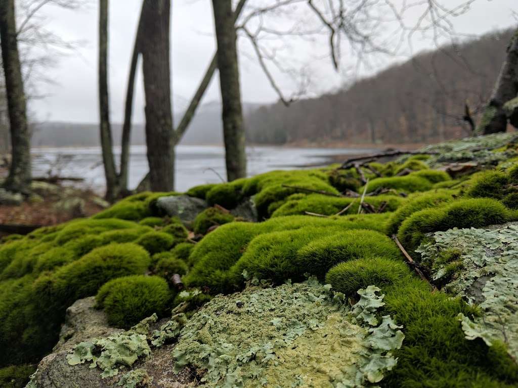 Bennets Pond State Park | Bennett Ponds,, Ridgefield, CT 06877, USA | Phone: (860) 424-3200