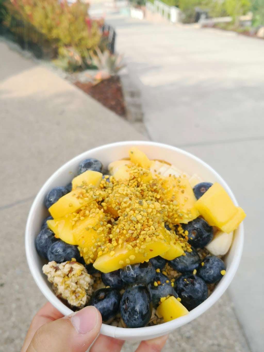 Paradise Bowls | 919 Manhattan Ave, Manhattan Beach, CA 90266, USA | Phone: (310) 798-7100