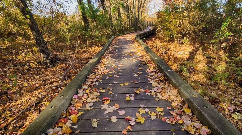 Boundary Creek Natural Resource Area | 518 Creek Rd, Moorestown, NJ 08057, USA | Phone: (609) 265-5858