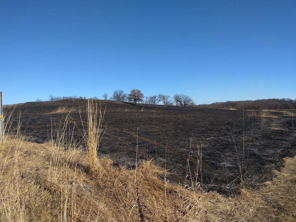 Shoe Factory Road Prairie Nature Preserve | Shoe Factory Rd, Hoffman Estates, IL 60192, USA | Phone: (800) 870-3666