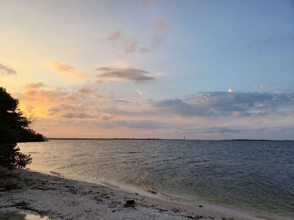 Horseshoe Crab Island | Titusville, FL 32796, USA