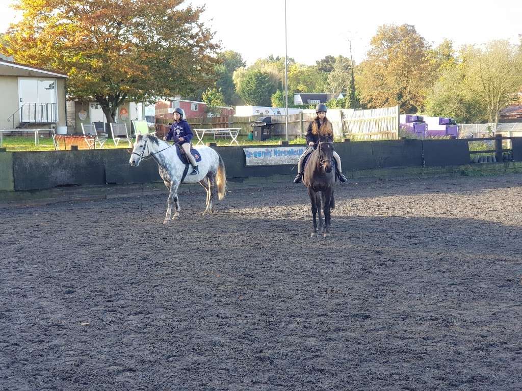 Stanmore Riding School | Warren La, Stanmore HA7 4LE, UK | Phone: 07852 142704